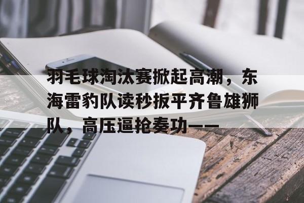 开云中国网站-羽毛球淘汰赛掀起高潮，东海雷豹队读秒扳平齐鲁雄狮队，高压逼抢奏功——的简单介绍